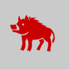 Cochon