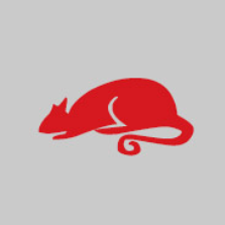 Rat