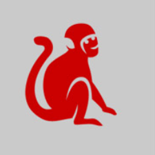 Singe