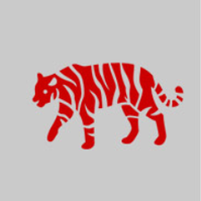 Tigre